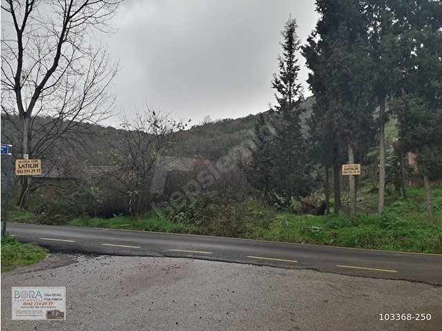 BORAdan, Kaytazderede DENİZ MANZARALI 7309 m² YOLA CEPHE TARLA - Görsel 16