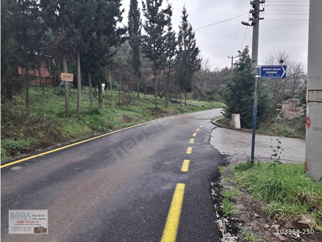 BORAdan, Kaytazderede DENİZ MANZARALI 7309 m² YOLA CEPHE TARLA - Görsel 5