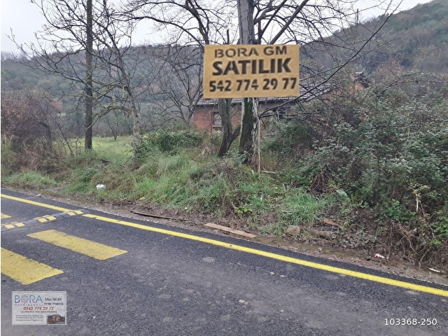 BORAdan, Kaytazderede DENİZ MANZARALI 7309 m² YOLA CEPHE TARLA - Görsel 11