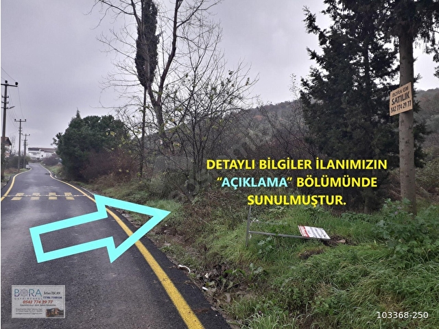 BORAdan, Kaytazderede DENİZ MANZARALI 7309 m² YOLA CEPHE TARLA