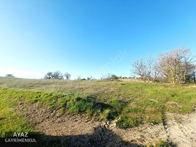 KIRKLARELİ KADIKÖY DE YOLA CEPHELİ 1425 M2 HOBİ BAHÇELİK FIRSAT! - Görsel 17