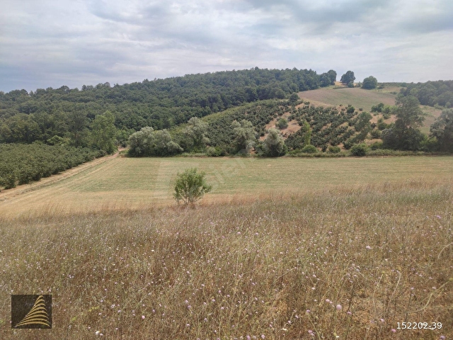 Kandıra Topluca Satılık