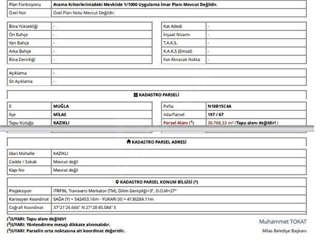 KALYONCU GAYRİMENKULDEN MUĞLA MİLAS KAZIKLIDA VERİMLİ ZEYTİNLİK - Görsel 4
