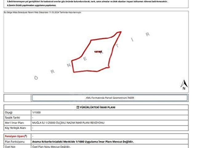 KALYONCU GAYRİMENKULDEN MUĞLA MİLAS KAZIKLIDA VERİMLİ ZEYTİNLİK - Görsel 3