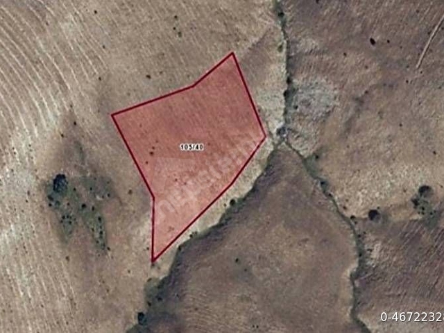 Erzincan İliçde 6.641 Metrekare Tek Parça Tarla - Görsel 2