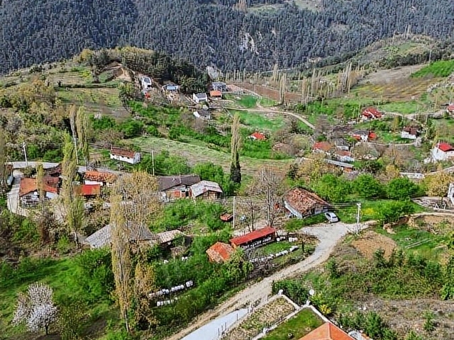 BİR HAFTALIĞINA FİYAT DÜŞTÜ ... - Görsel 9