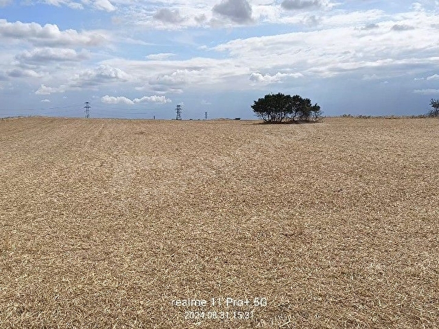 Sahibinden 16.378 m² Tek parça Tarla - Görsel 5