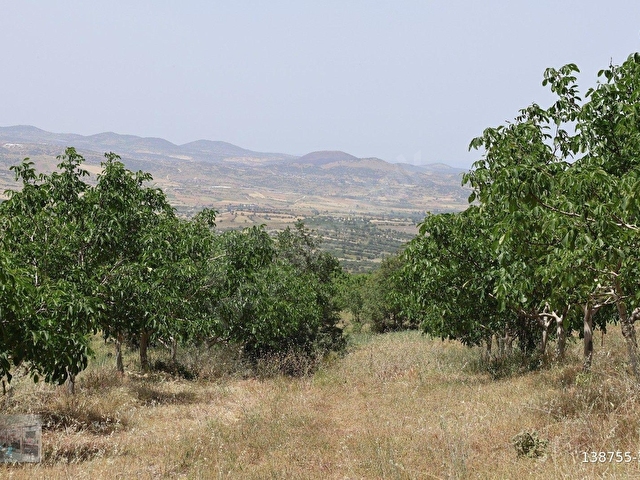 MANİSA KULA İLÇESİNDE SATILIK 58.000.M2 CEVİZ BAHÇESİ - Görsel 22