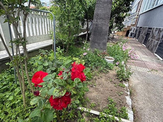 AKÇAY ALTINKUM PAZARKÖY SİTESİNDE SATILIK 2+1 FIRSAT DAİRE - Görsel 23
