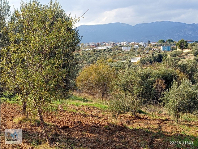 Akdeniz Emlaktan Satılık Şehzadeler İlç Kara Oğlanlı Mah 6400 m2 Bahçe - Görsel 23