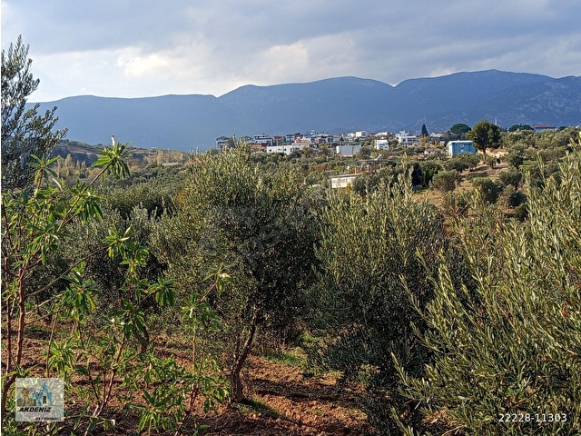 Akdeniz Emlaktan Satılık Şehzadeler İlç Kara Oğlanlı Mah 6400 m2 Bahçe