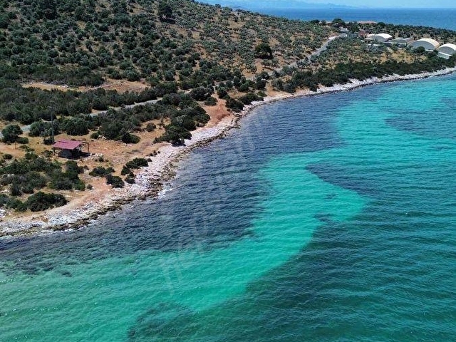 DIDIM AKBÜKTE DENİZE SADECE 100 METRE MESAFEDE SATILIK ARSA - Görsel 14