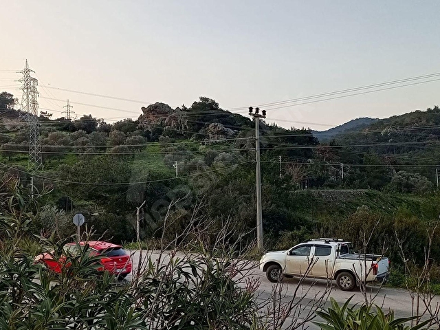 MUĞLA BODRUM GÜNDOĞAN SATILIK 11 DÖNÜM ZEYTİNLİ TARLA - Görsel 14