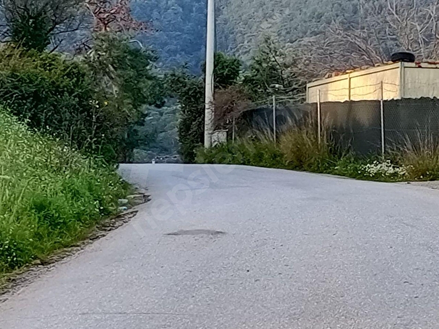 MUĞLA BODRUM GÜNDOĞAN SATILIK 11 DÖNÜM ZEYTİNLİ TARLA - Görsel 17