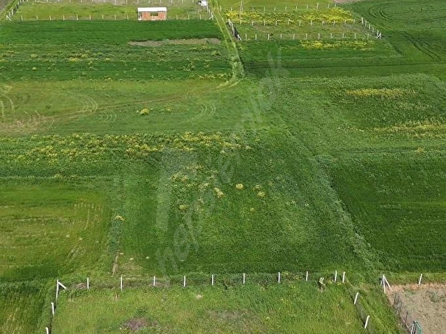 ERGENE/esenlerde 470m2 satılık bağ yeri 30 tane meyve ağaçlı - Görsel 6