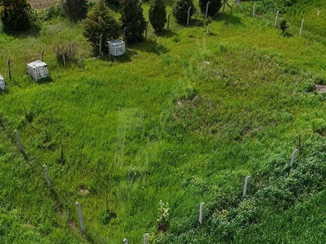 ERGENE/esenlerde 470m2 satılık bağ yeri 30 tane meyve ağaçlı - Görsel 4