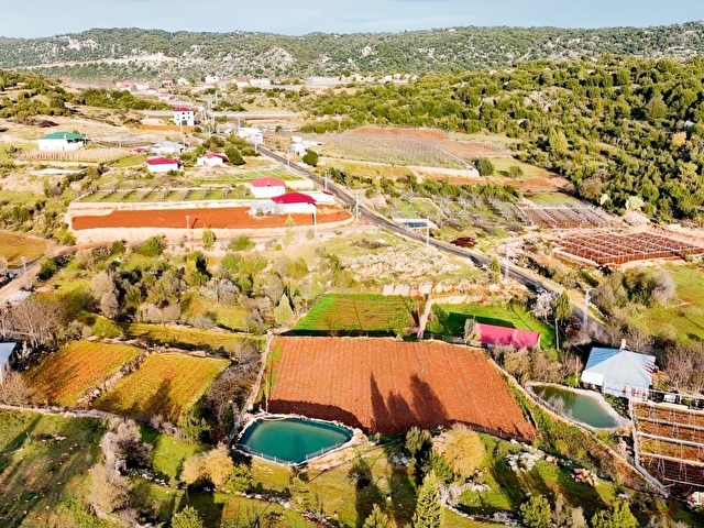 ERDEMLİ KIZILENDE 3222 M2 KURULU DÜZEN KÖYİÇİ ARSA BAHÇE - Görsel 8