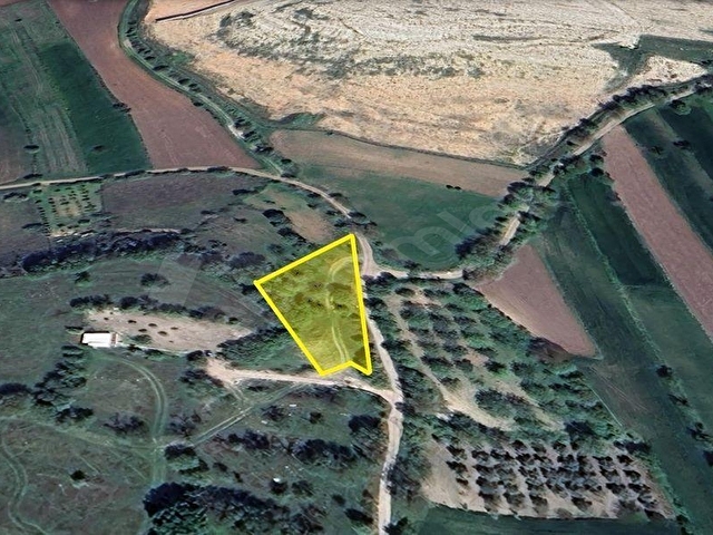LION EMLAKTAN ALTIEYLÜL KABAKLIDA 950M² KÖY İÇİ ARAZİ - Görsel 18