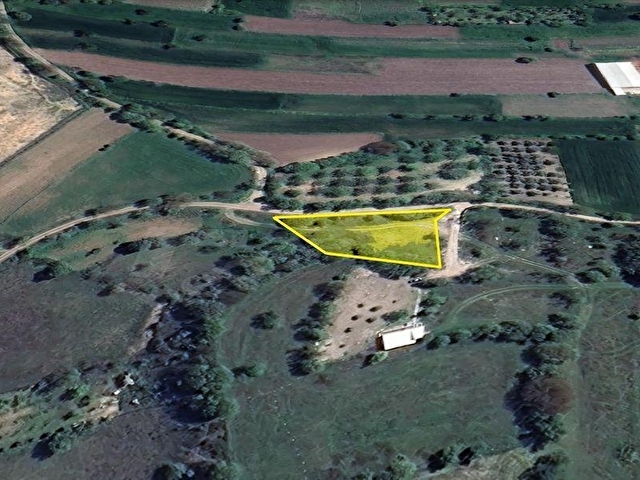 LION EMLAKTAN ALTIEYLÜL KABAKLIDA 950M² KÖY İÇİ ARAZİ - Görsel 7