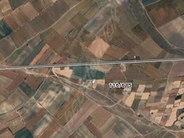 TEKİRDAĞ SARAY YUVALI DA SATILIK MÜSTAKİL TAPU 1503M2 BAĞ YERİ - Görsel 4