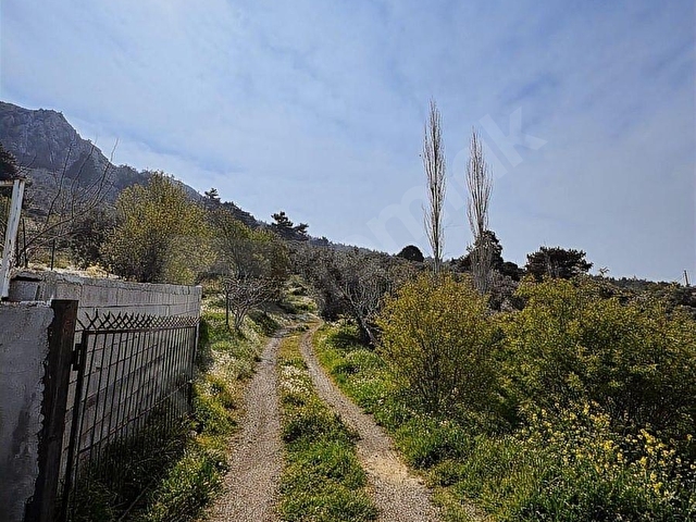 1.500 Dönüm İçinde Kaçılmayacak Yatırım! Kurulu Sistemli Arazi - Görsel 8