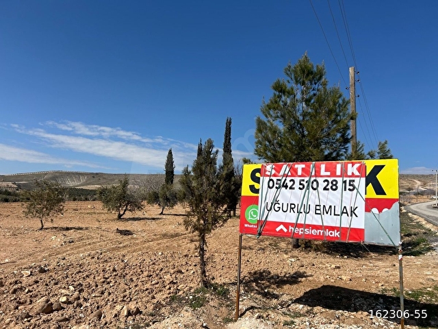 TAVZE GAYRİMENKULDAN ŞANLIURFA AŞAĞI İŞKARADA SATILIK KARIŞIK MEYVE BAHÇESİ.