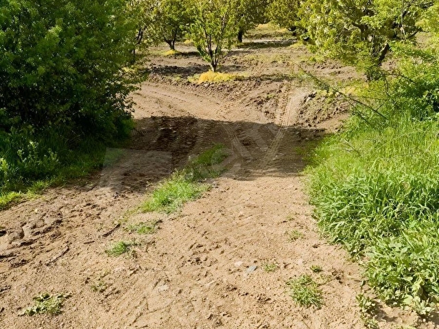 KOCACIKTA SATILIK KİRAZ BAHÇESİ , DAİRE TAKASINA AÇIK - Görsel 13