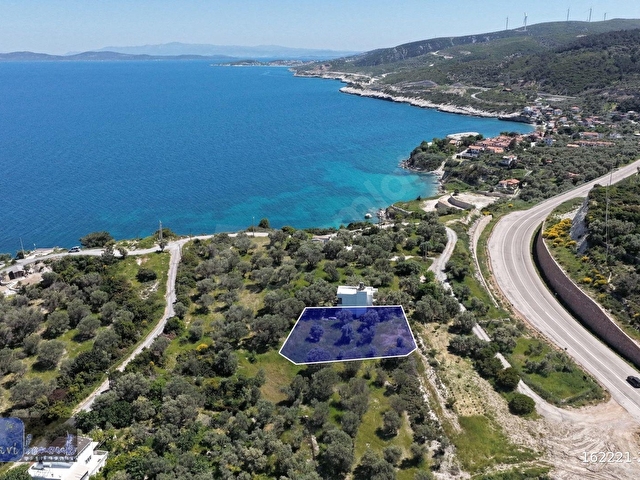 MAVİ BONCUKTAN AKBURUN KOYUNA YAKIN TARLA - Görsel 5