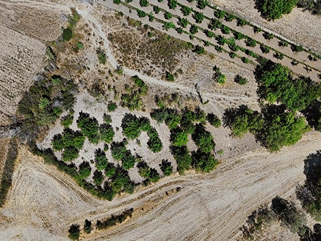 TAVAS KARAHİSARDA 2.663 m² MEYVE AĞAÇLI SATILIK BAĞ - Görsel 11