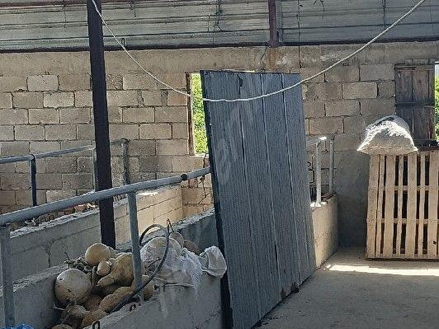 Ula Ataköy Kiralık Depo ve Tarla - Görsel 3