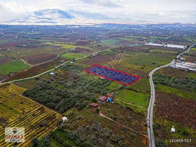 İZMIR KEMALPAŞA ÖREN’DE SATILIK 5.342 M² ZEYTINLI BAĞ - Görsel 10