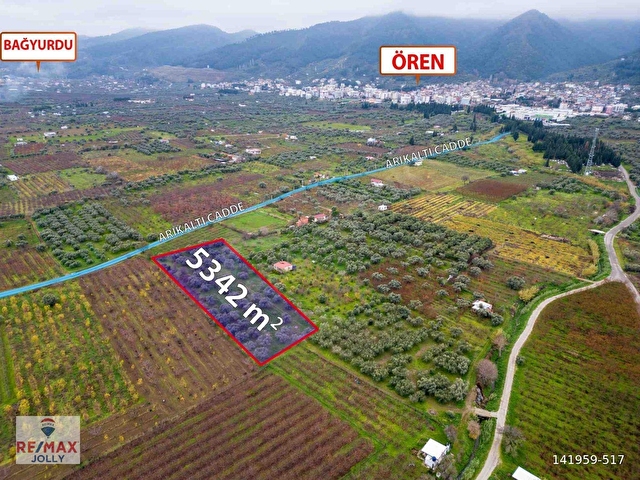 İZMIR KEMALPAŞA ÖREN’DE SATILIK 5.342 M² ZEYTINLI BAĞ - Görsel 2
