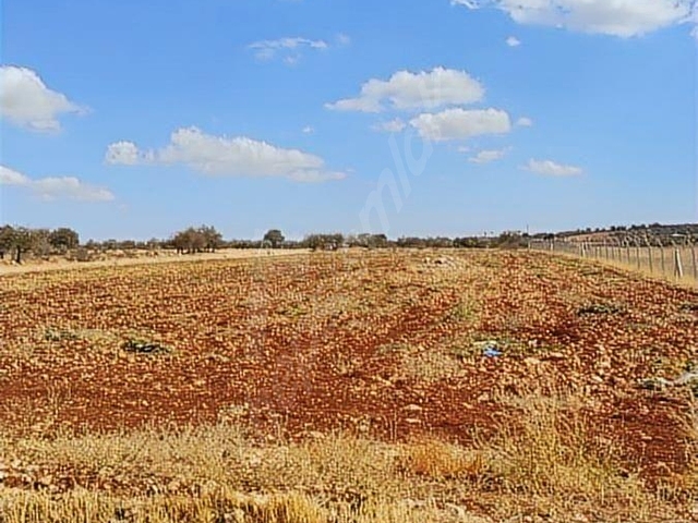 BURCKARAKUYU ANA ASFALT ÜZERİNDE GÜNEY ŞEHİR TOKİ 700 METRE - Görsel 2