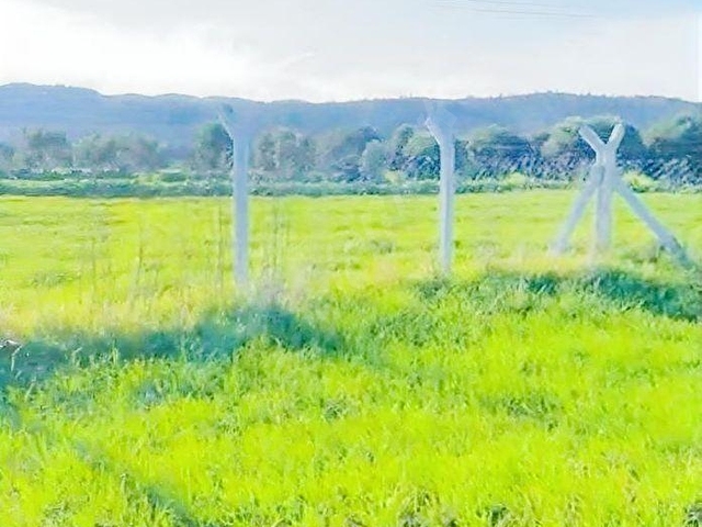 BODRUM MUMCULAR GÖKYERDE SATILIK 2.000 m² TARLA ÇİT İLE ÇEVRİLİ - Görsel 6