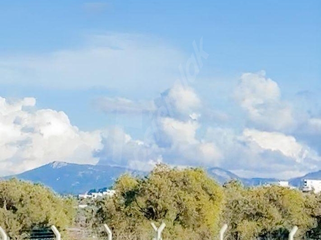 BODRUM MUMCULAR GÖKYERDE SATILIK 2.000 m² TARLA ÇİT İLE ÇEVRİLİ