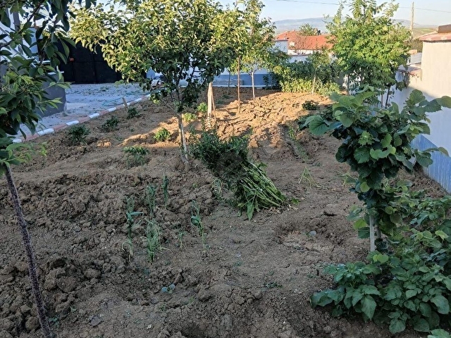 517 M2 ARSA İÇERİSİNDE EŞYALI SATILIK LÜKS VİLLA - Görsel 5