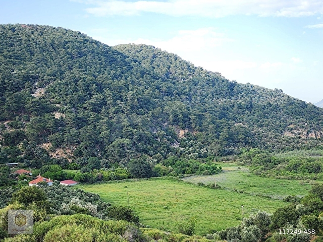 KÖYCEĞİZ ÇANDIR DA KAUNOS YAKIN 4425 M2 ARAZİ DAİRE TAKASLI - Görsel 19