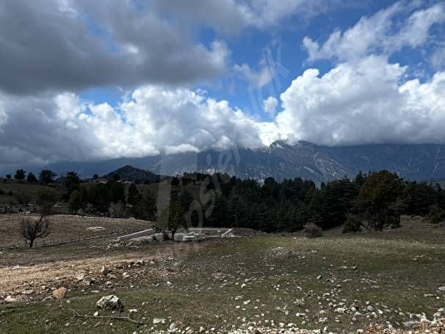 Sahibinden | Alt Yapısı Hazır, Manzarası Kapanmaz Yayla Arsası - Görsel 25