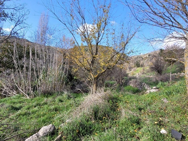 ASSOS BÖLGESİ İLYASFAKI KÖYÜNDE BAHÇE VASFINDA KUPON BAHCE - Görsel 9