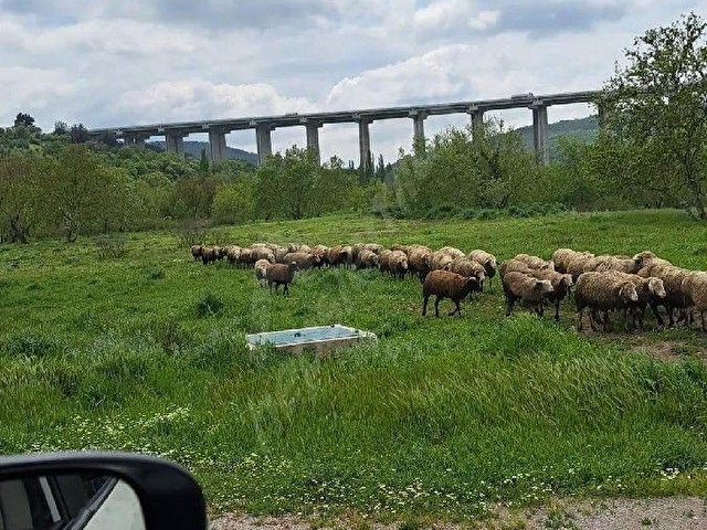 Satılık Hobi Bahçesi - Görsel 7