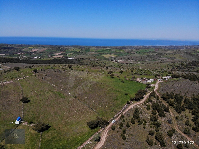 ÇANAKKALE AYVACIK NALDÖKEN KÖYÜNDE DENİZ MANZARALI SATILIK TARLA - Görsel 11