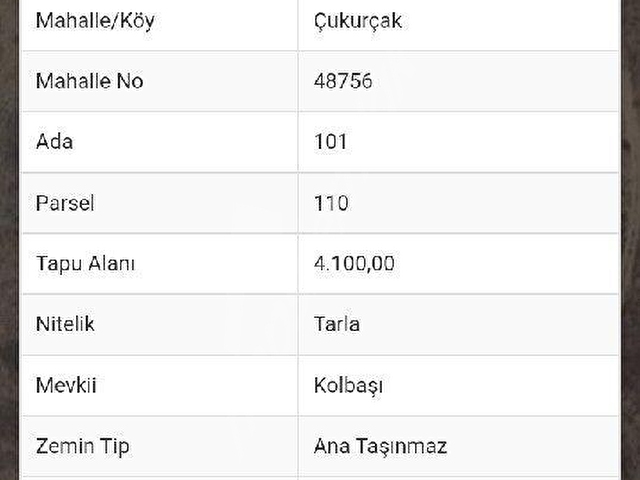 afyon sultandağında satılık yol kenarı 4.100 mt tarla - Görsel 3