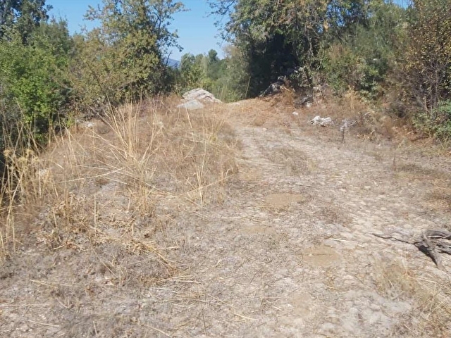 ACIPAYAM 5.183 M2 MUSTAKİL TEK TAPU -KISA SÜRE FİYAT DÜŞTÜ - Görsel 19