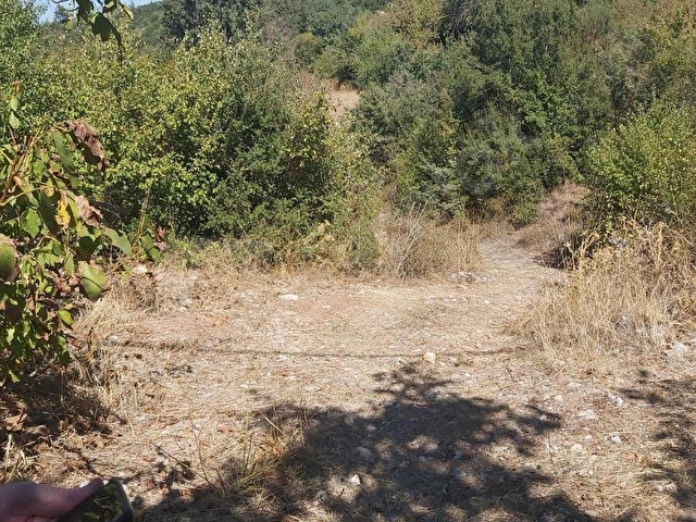 ACIPAYAM 5.183 M2 MUSTAKİL TEK TAPU -KISA SÜRE FİYAT DÜŞTÜ - Görsel 20