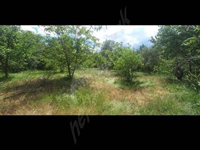 ACIPAYAM 5.183 M2 MUSTAKİL TEK TAPU -KISA SÜRE FİYAT DÜŞTÜ - Görsel 4