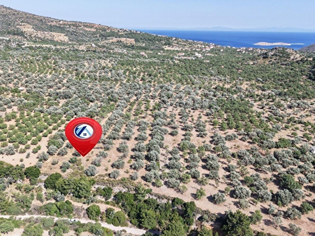 DATÇA YAKA KUMYERDE SATILIK 2.090M² ZEYTİNLİK - Görsel 18