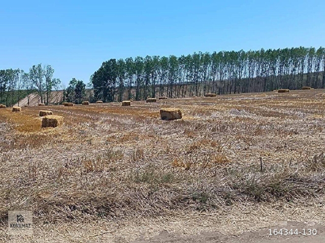 ERGENE PINARBAŞI MAHALLESİNDESATILIK BAHÇE YERİ ( 3.250m² ) Müstakil – Tek Tapu - Görsel 10