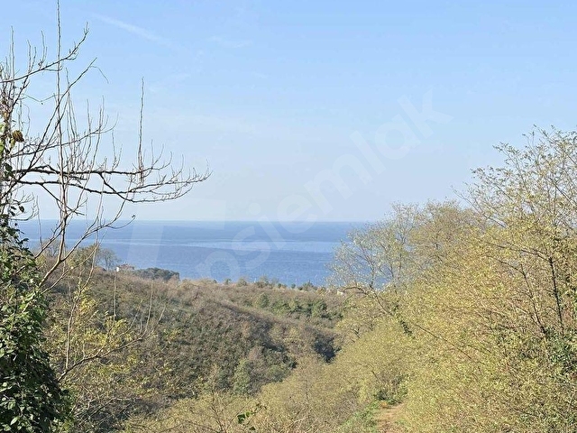 GİRESUN GÖRELE KARABURUNDA 1.1 DÖNÜM FINDIK BAHÇESİ
