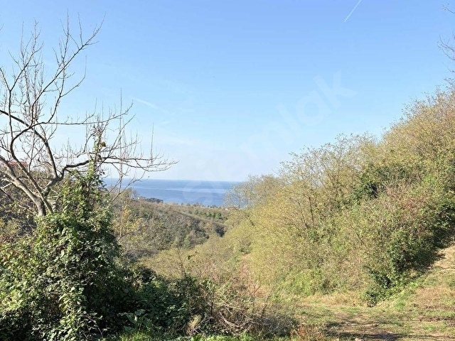 GİRESUN GÖRELE KARABURUNDA 1.1 DÖNÜM FINDIK BAHÇESİ - Görsel 9
