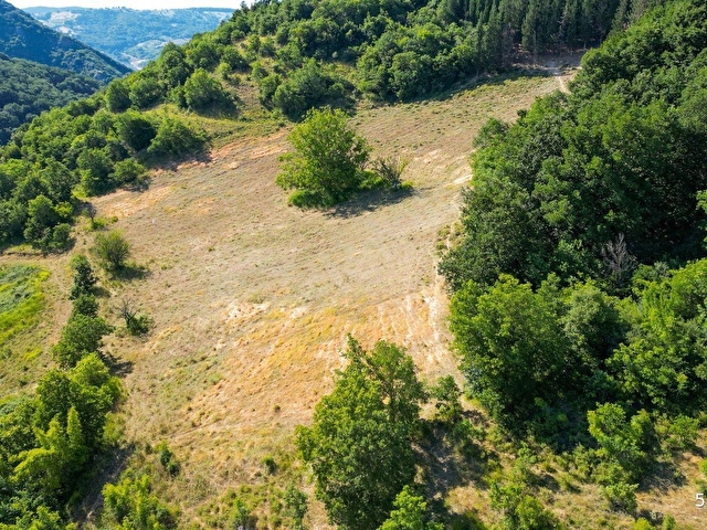 KOCAELİ KARAMÜRSEL İNEBEYLİ 17.512 M2 SATILIK TARLA - Görsel 8
